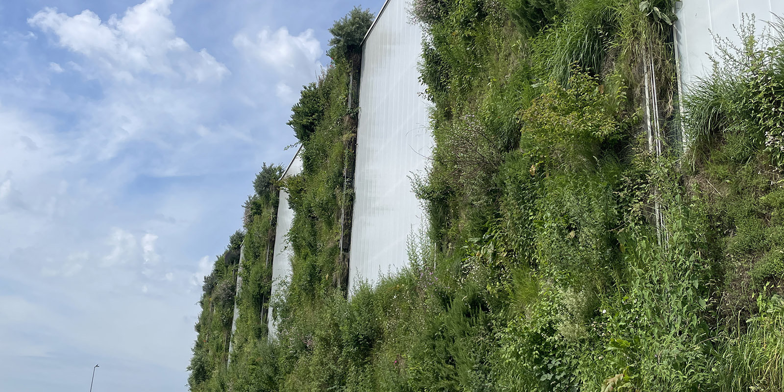 Werkshalle Birkenmaier, Breisach-Niederissmingen